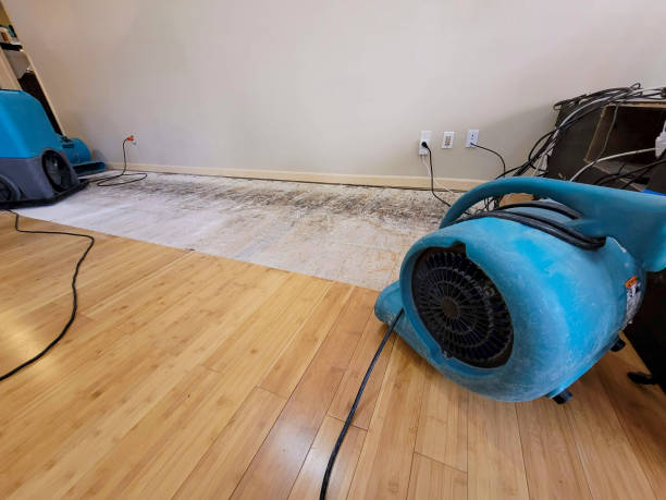 Professional Structural Drying technician working in Middlefield, MA